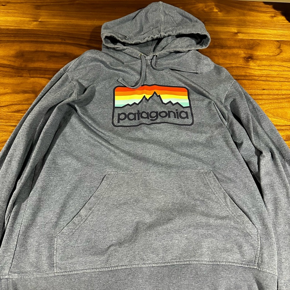Patagonia hoodie